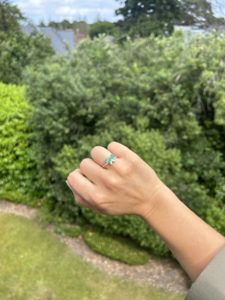 The Butterfly Ring